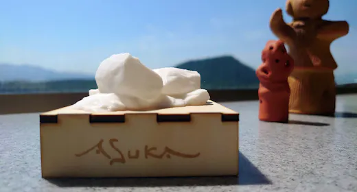 【飛鳥・藤原の宮都 世界遺産登録記念プラン】オールインクルーシブで橿原&飛鳥を満喫!<お土産付>