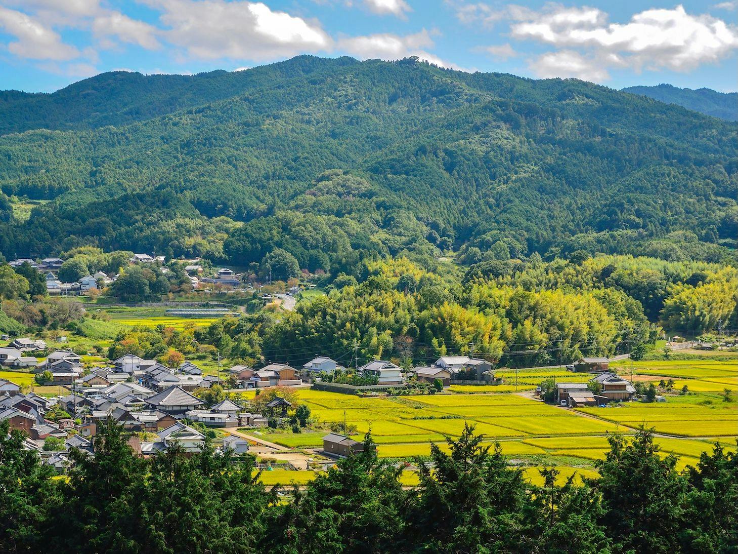 【世界遺産登録記念！】飛鳥を満喫！明日香周遊バス＋飛鳥・万葉お楽しみクーポン付＜朝食付＞