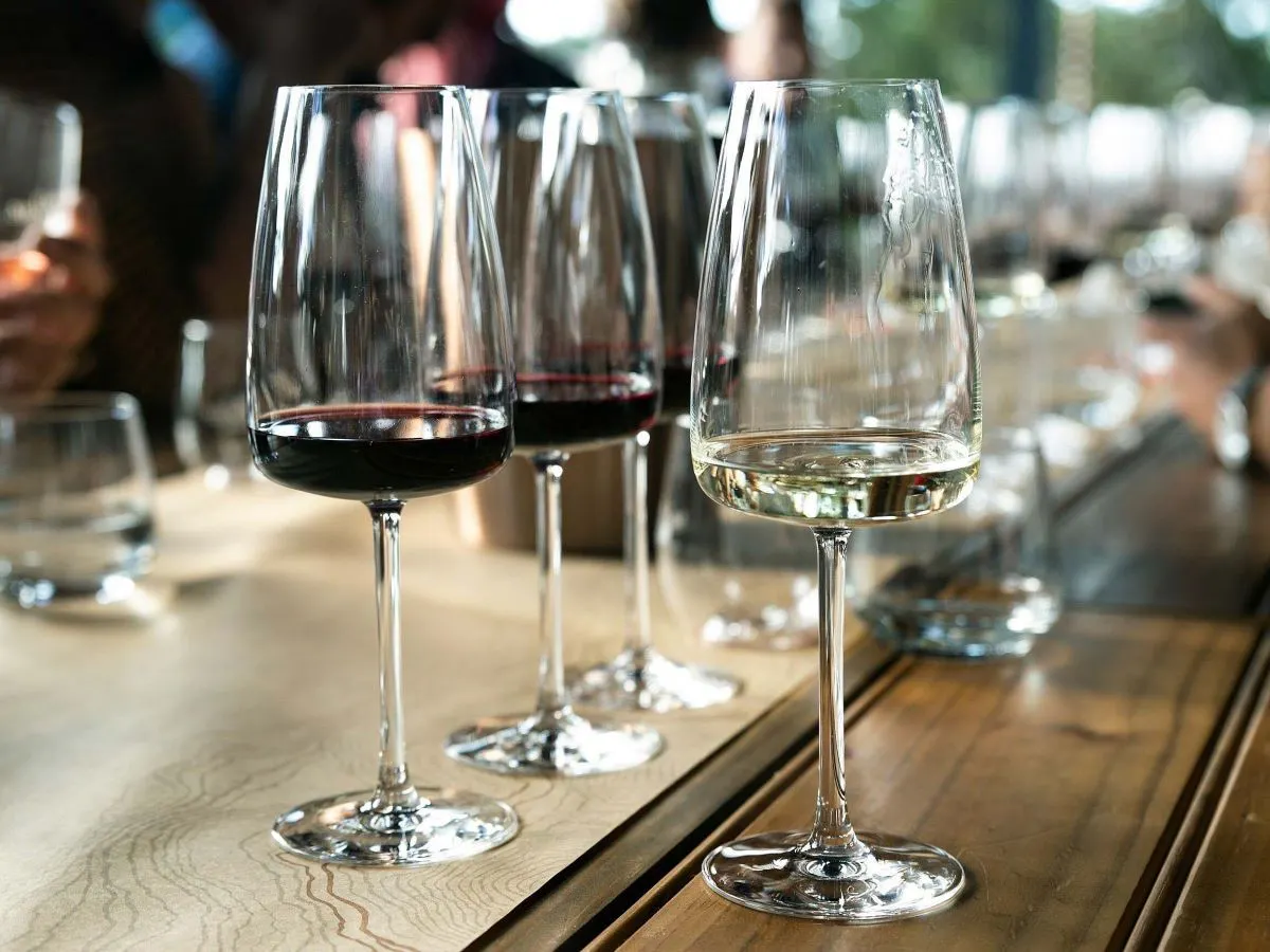 와인 시음 이미지