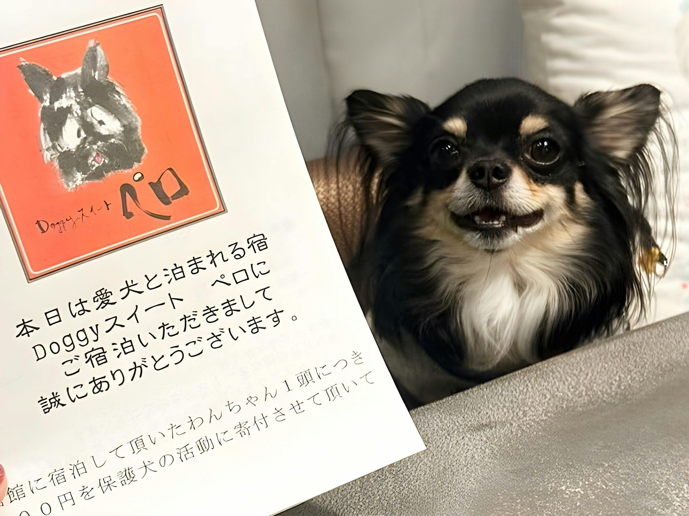 Doggyスイートペロ