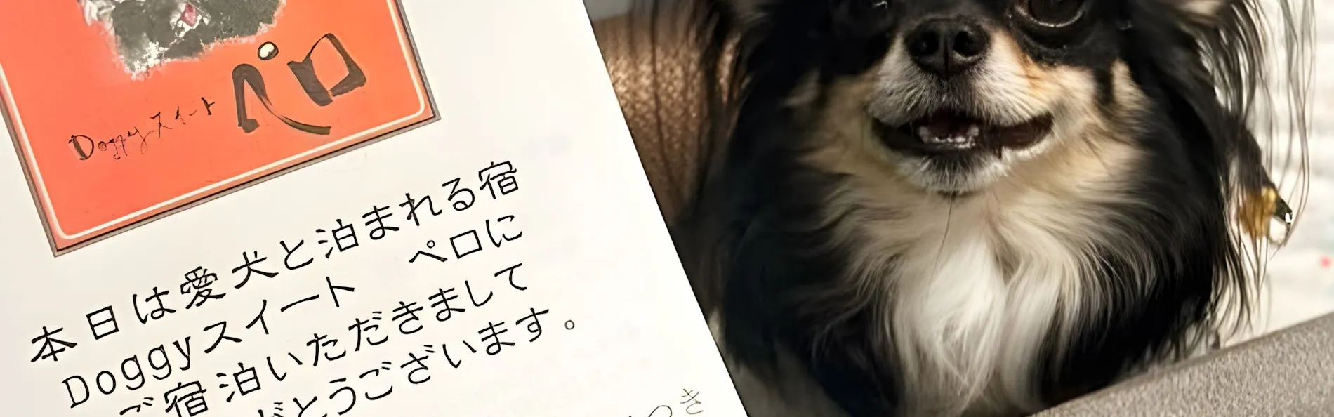 Doggyスイートペロ