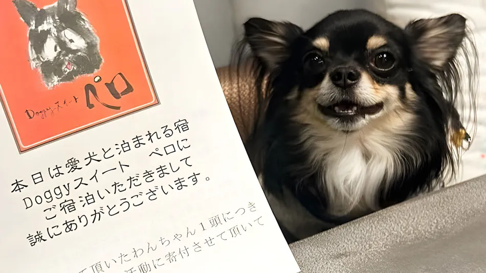 Doggy Suite Pero