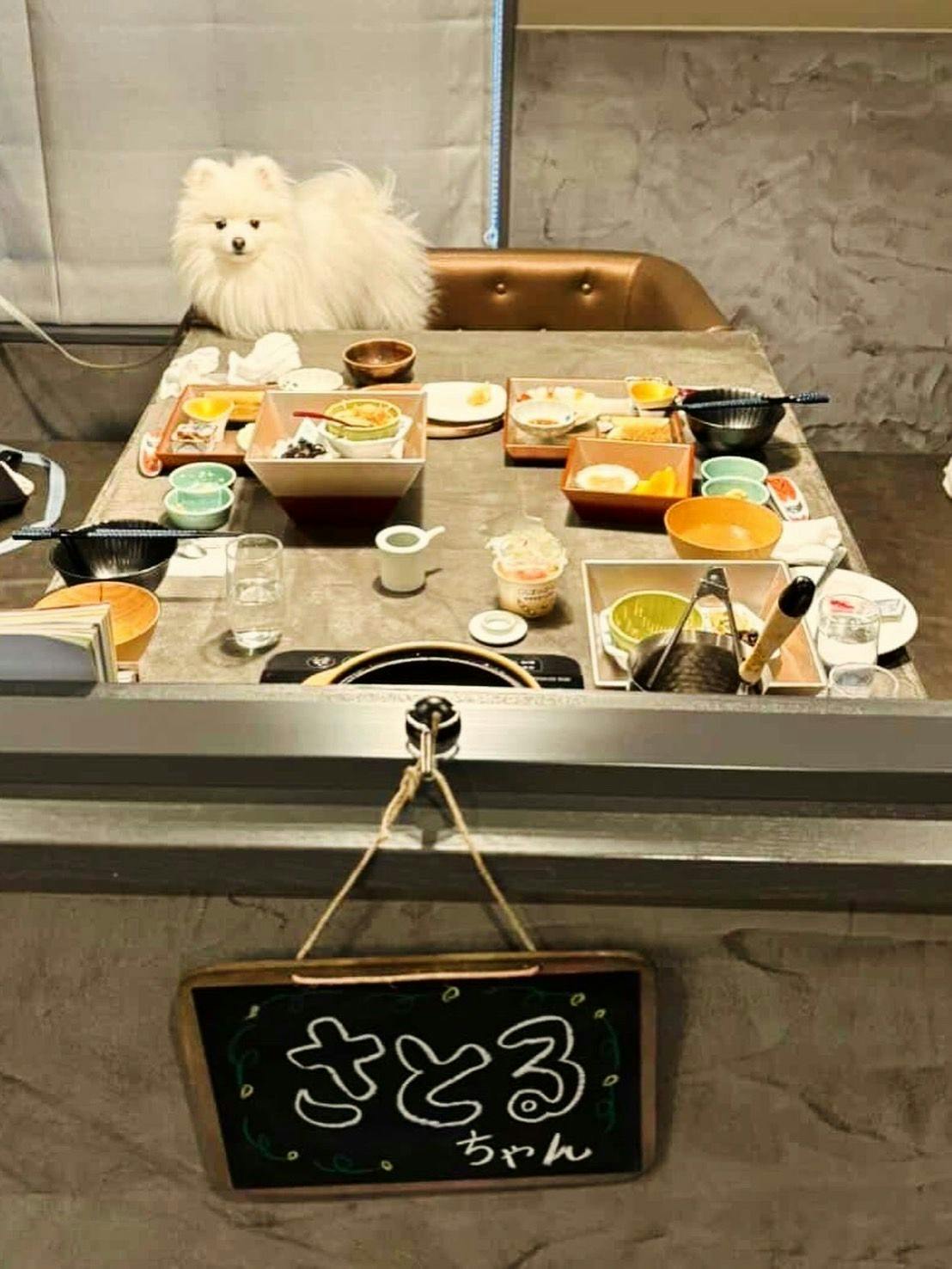 【숙박 고객님】사토루짱