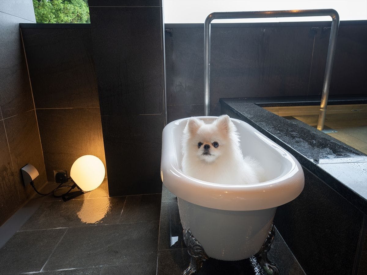 Doggyスイートペロ