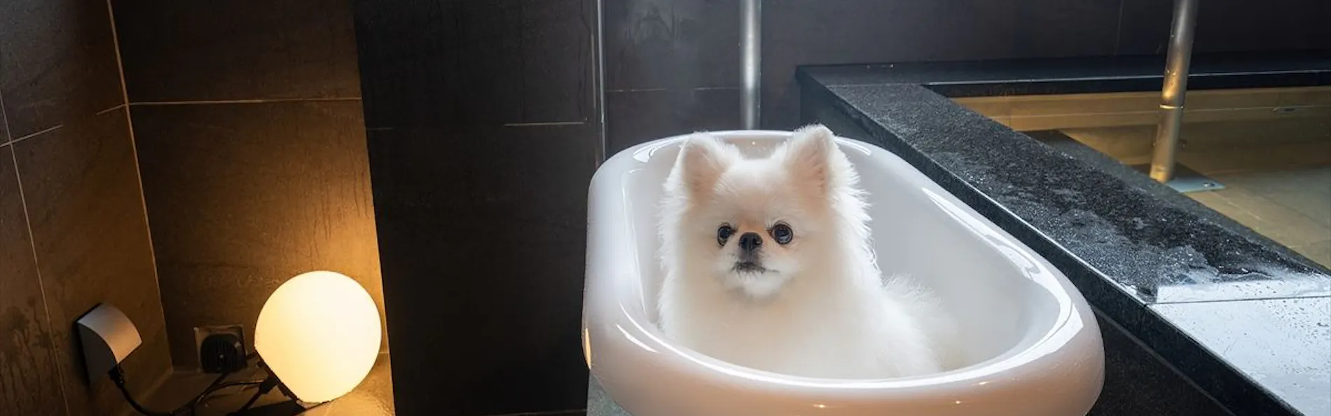 Doggyスイートペロ