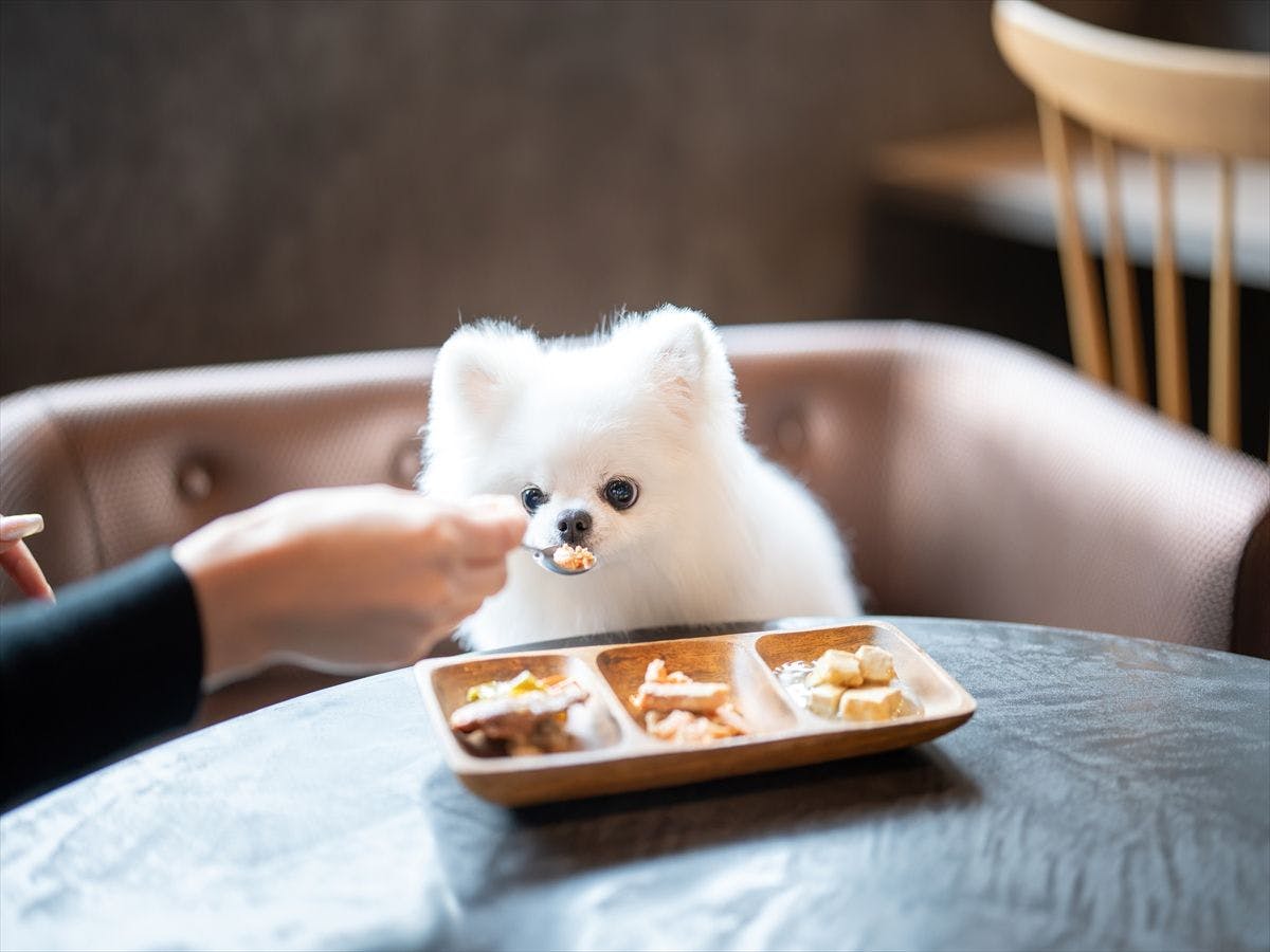 Doggyスイートペロ
