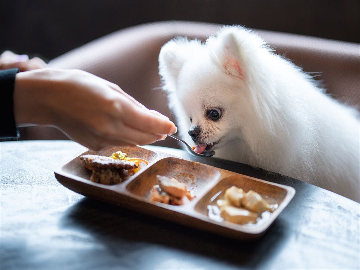 Doggyスイートペロ