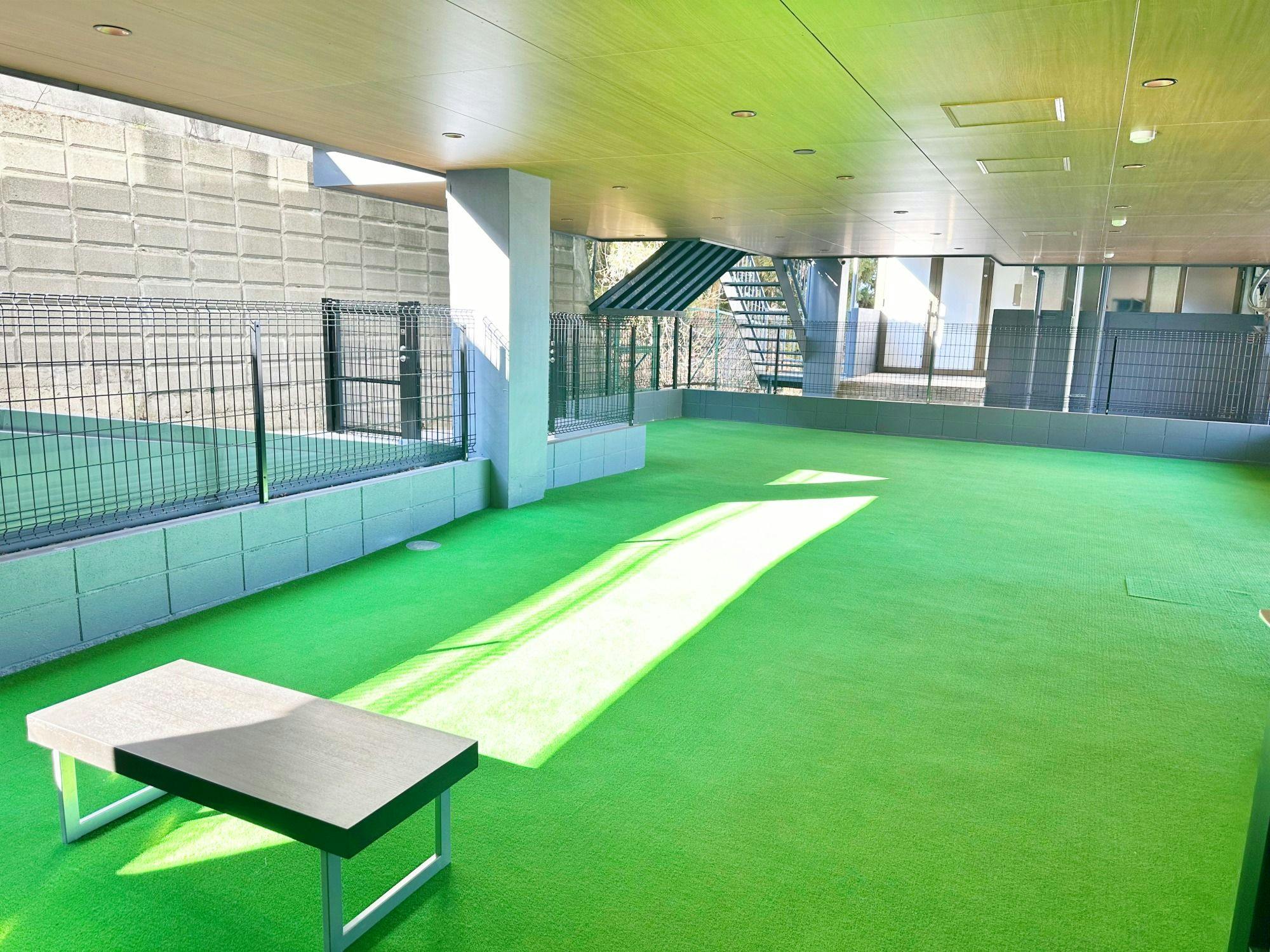 Area bermain anjing segala cuaca