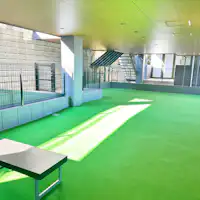 Area bermain anjing segala cuaca