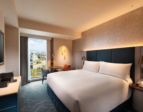 キングルーム キャッスルビュー