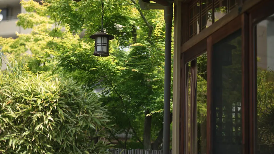 Dogo Onsen Ryotei Umenoya