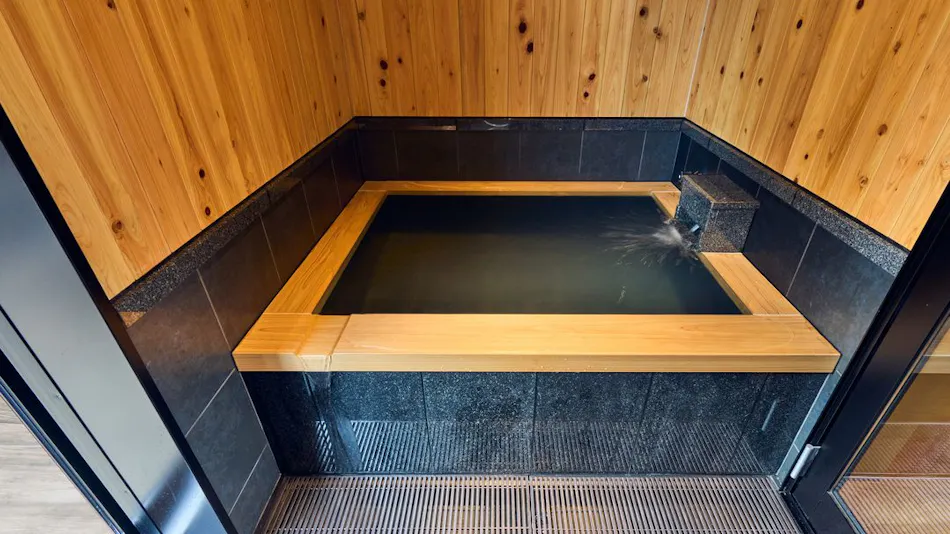 Hitoyoshi Onsen Ishinono-yu Ichifuji Ryokan