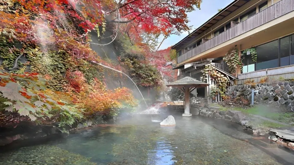 Oomaru Onsen Ryokan