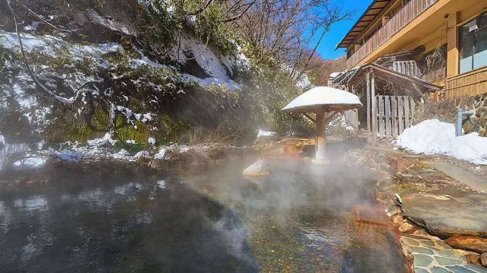 Oomaru Onsen Ryokan