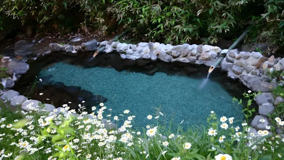 Oomaru Onsen Ryokan