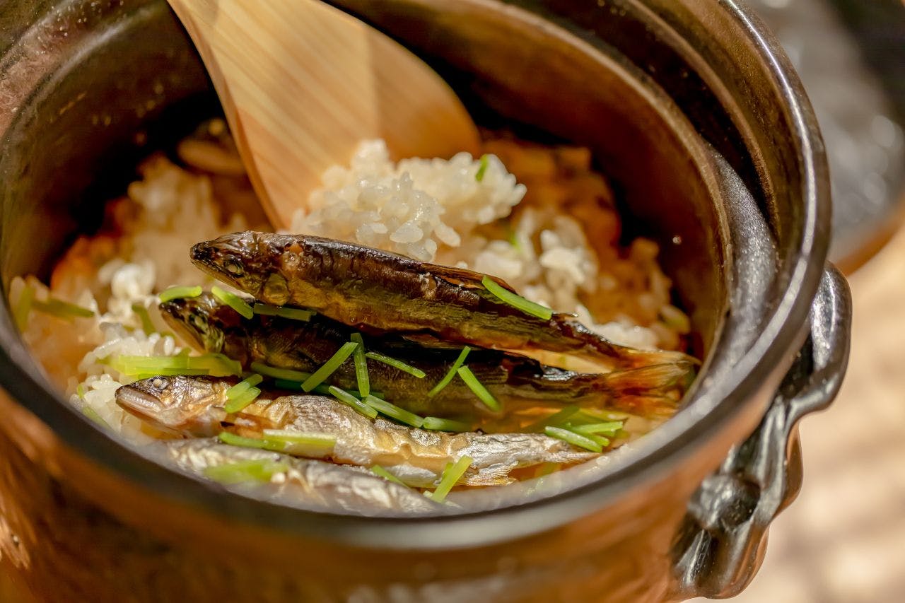【ダイニングご提供プラン】富士の大地の食材を味わう懐石料理　（通常期間）