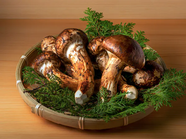 【อาหารพิเศษ】แผนอาหารไคเซกิจากเห็ดมัตสึทาเกะในประเทศ