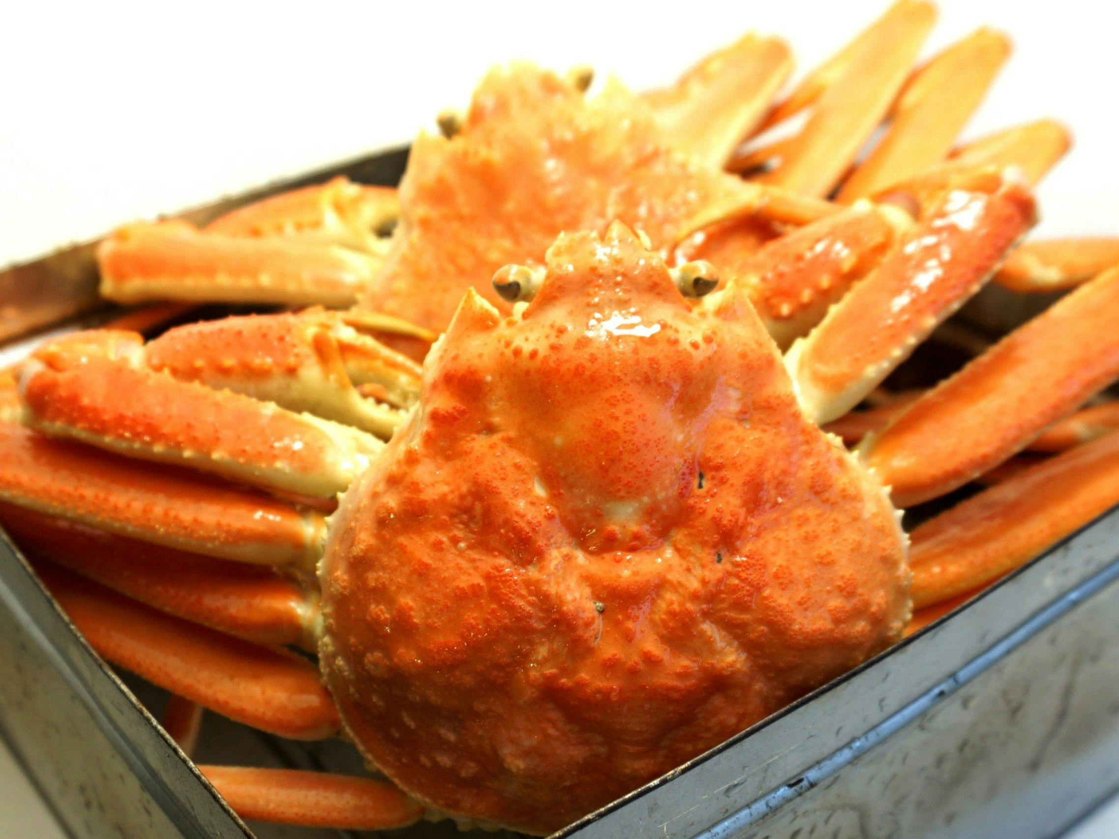 かに一杯イメージ