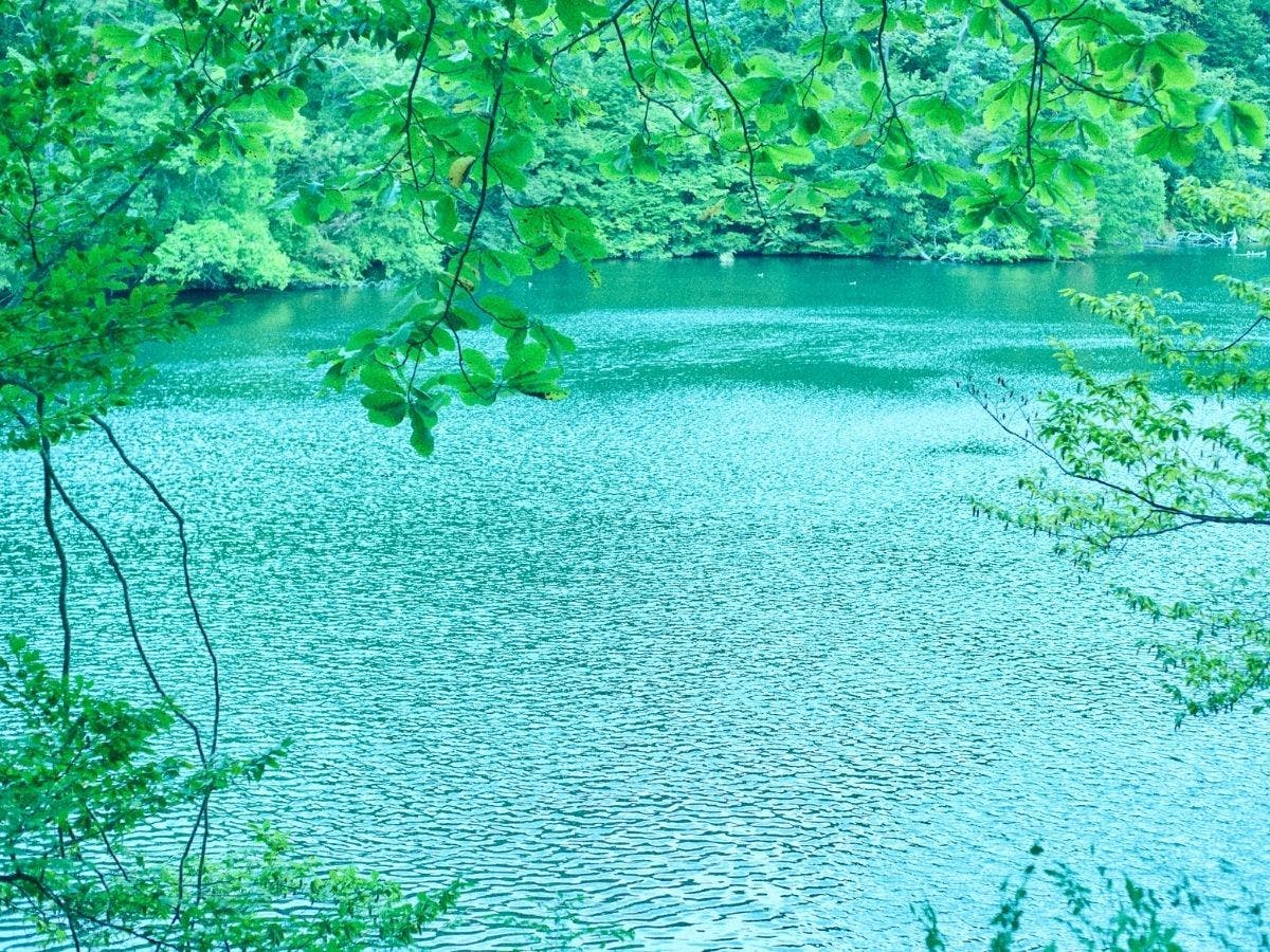 【1日7組限定】湖畔に佇むリトリートホテル HOTEL MIYAM MATSUBARAKO
