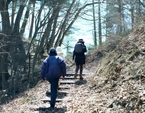 森を歩くプチセラピー