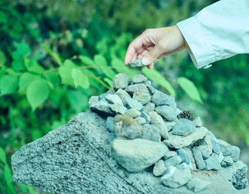 森を歩くプチセラピー