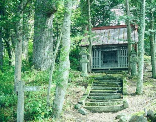 森を歩くプチセラピー