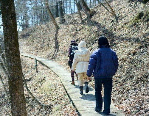 森を歩くプチセラピー