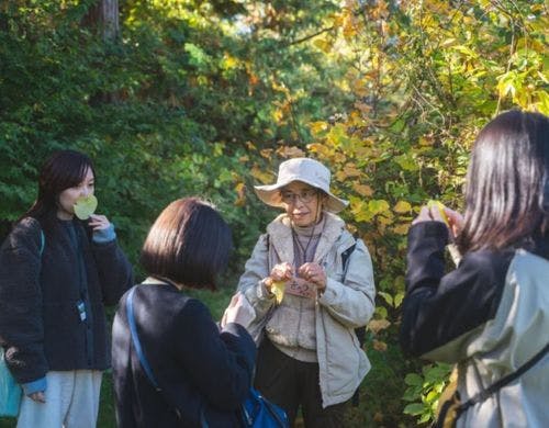 セラピーウォーク