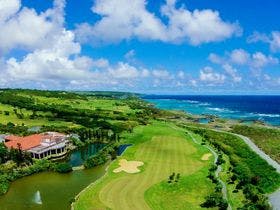 アラマンダ　スプレンディド