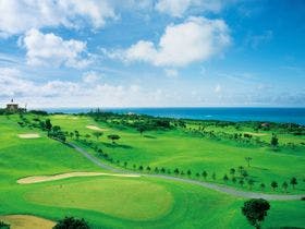 アラマンダ　スプレンディド