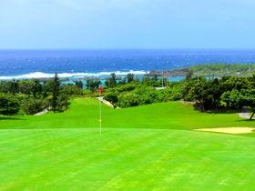 アラマンダ　スプレンディド
