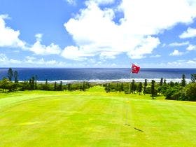 アラマンダ　スプレンディド