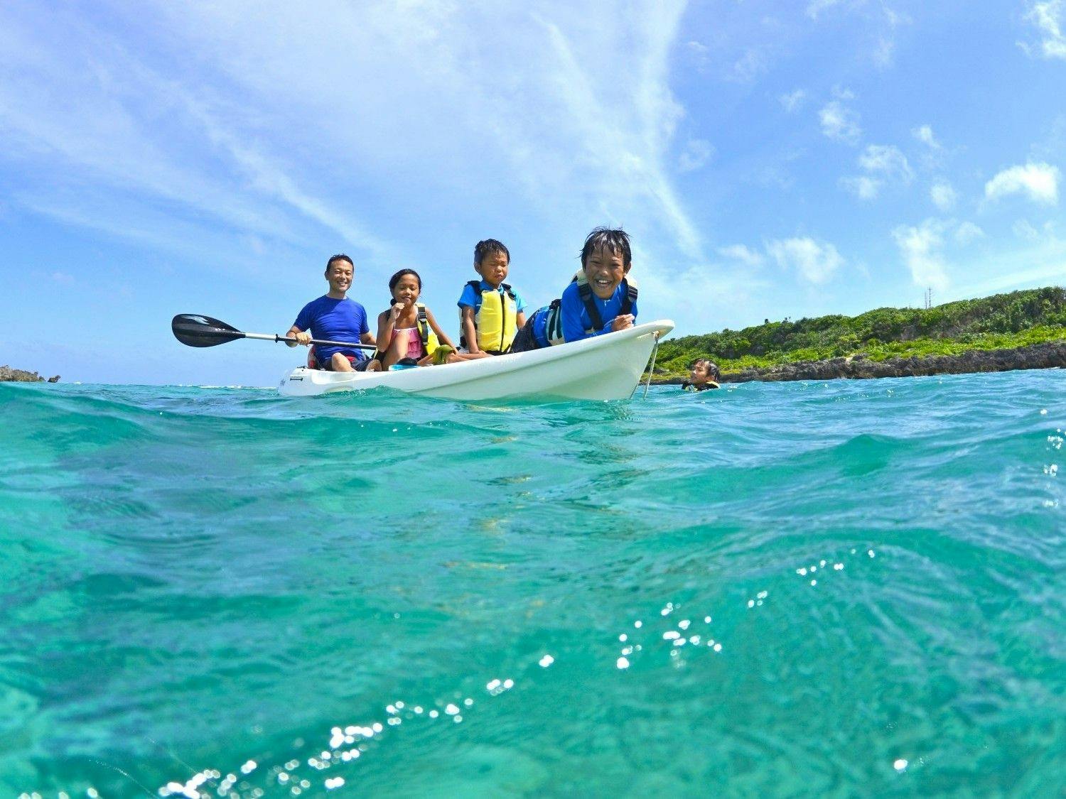 アラマンダ　スプレンディド