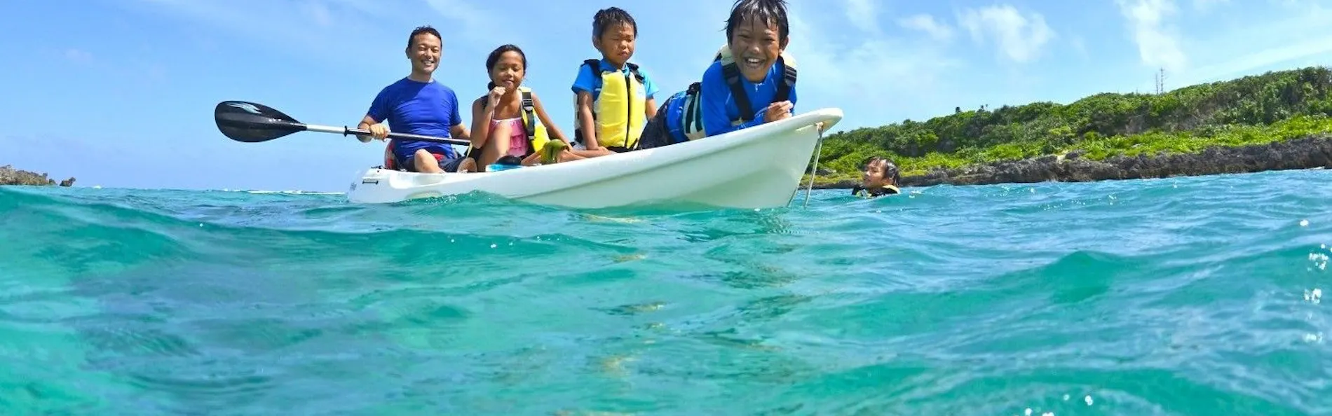 アラマンダ スプレンディド