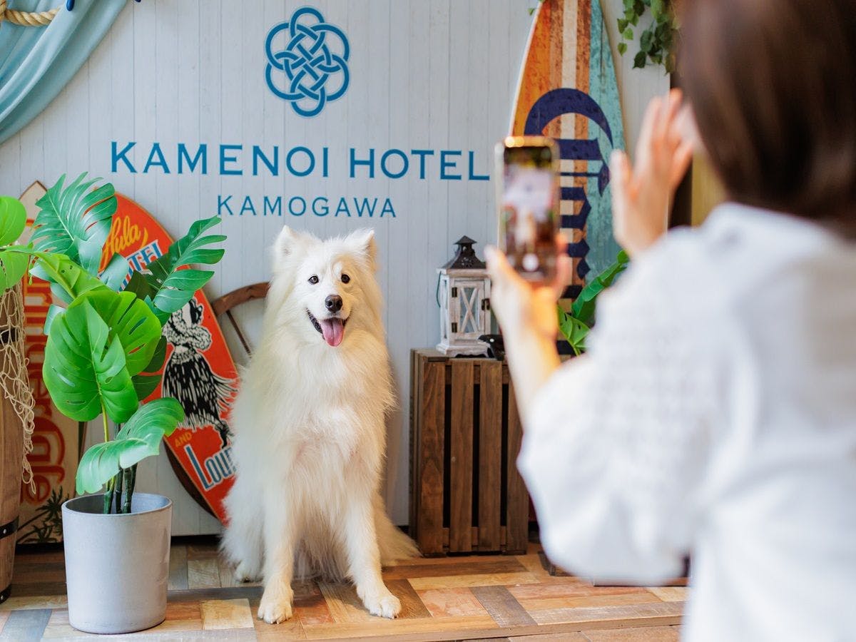 亀の井ホテル 鴨川