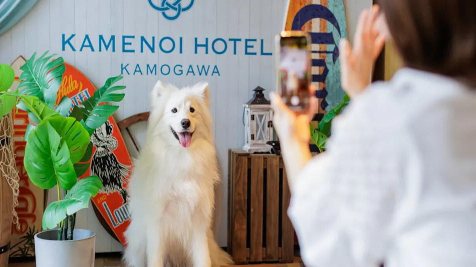 Kamenoi Hotel Kamogawa