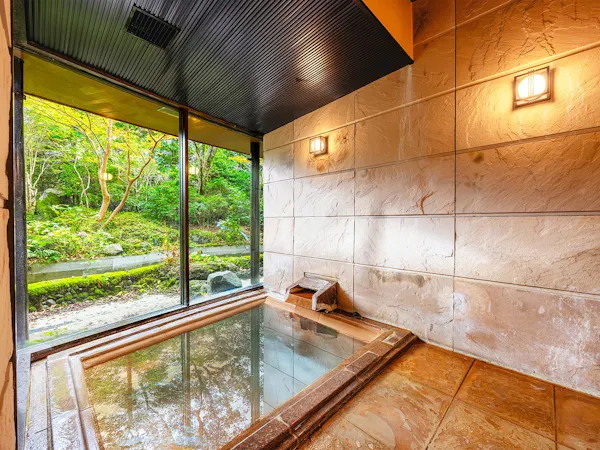 【素泊まりプラン】 全室スイート×客室で自由に楽しむ美肌の湯。全7室ならではの”静かな湯ごもり”