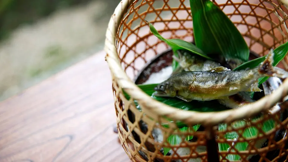 The Kayotei