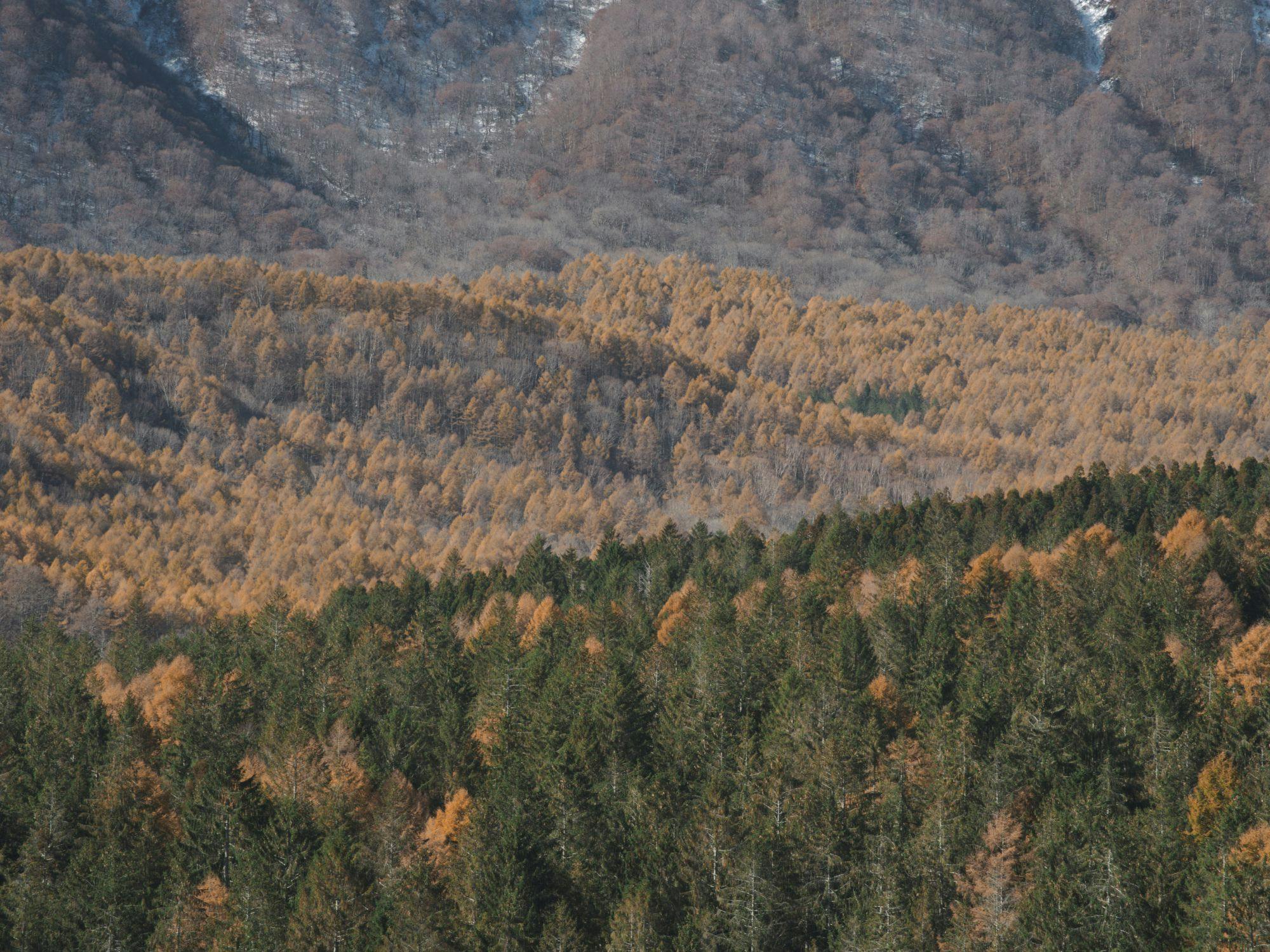 Loma Central Peaks