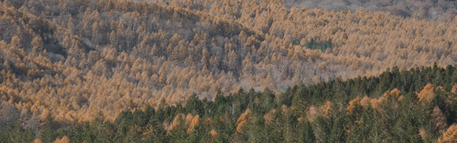 Loma Central Peaks
