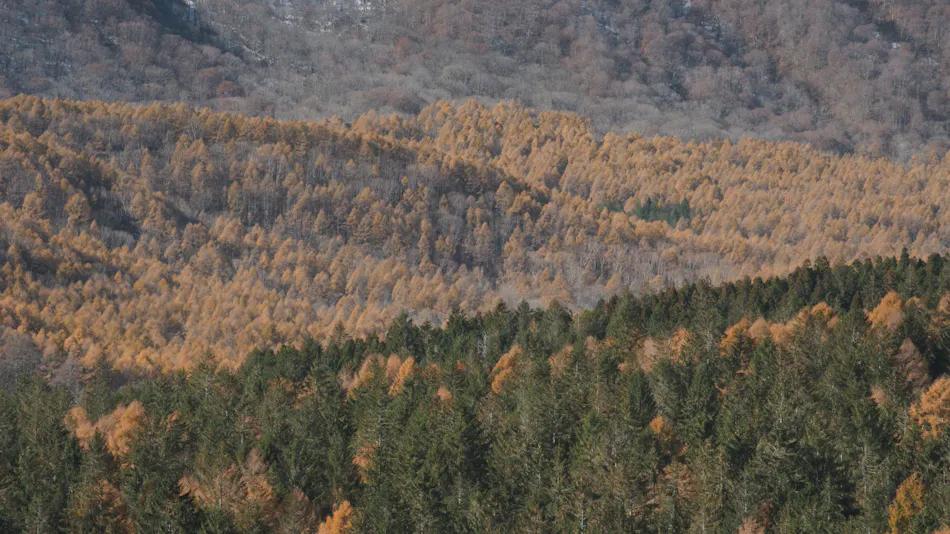 Lomä Central Peaks