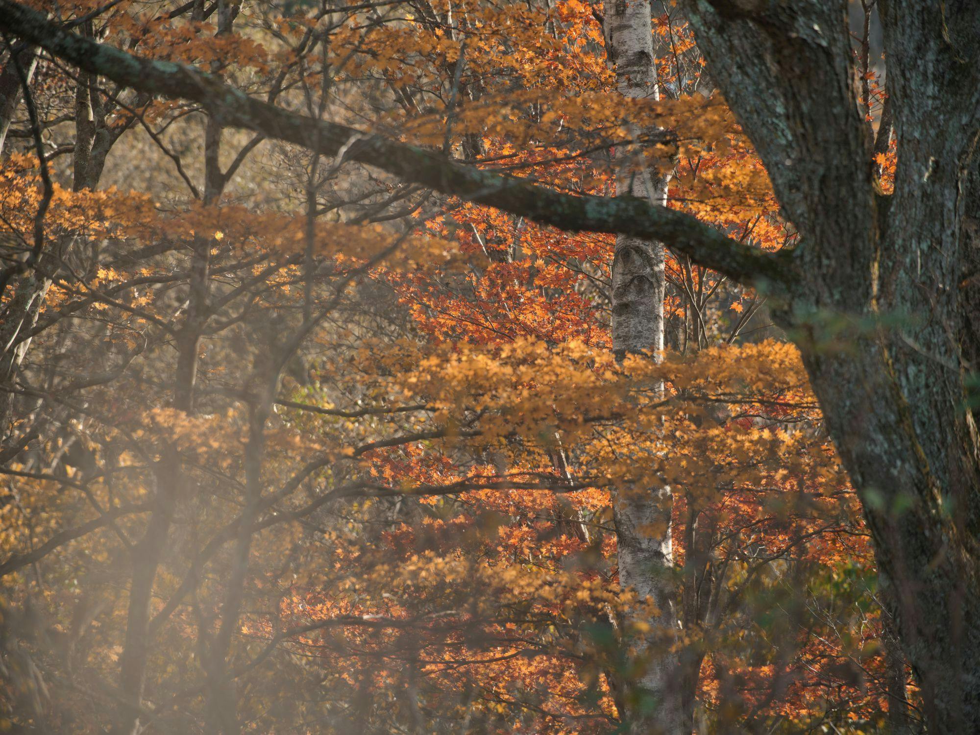 ทิวทัศน์ 13