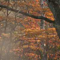 ทิวทัศน์ 13