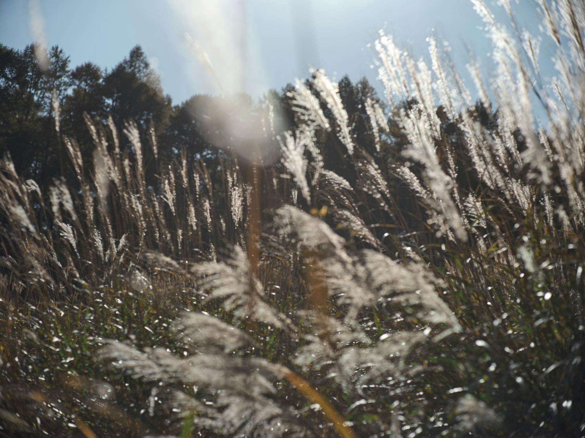 風景14