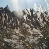 風景14