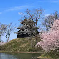 ซากุระที่สวนสาธารณะซากปราสาททาคาดะ 1