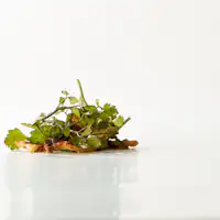 ภาพตัวอย่างอาหารเย็น 2