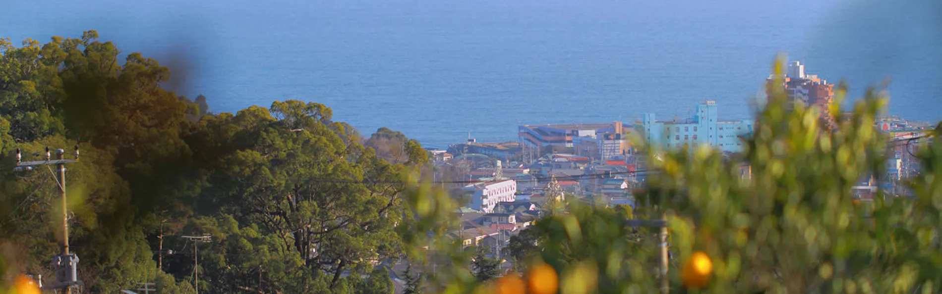 島、海、望むみかんの丘の貸切湯 ボンファム