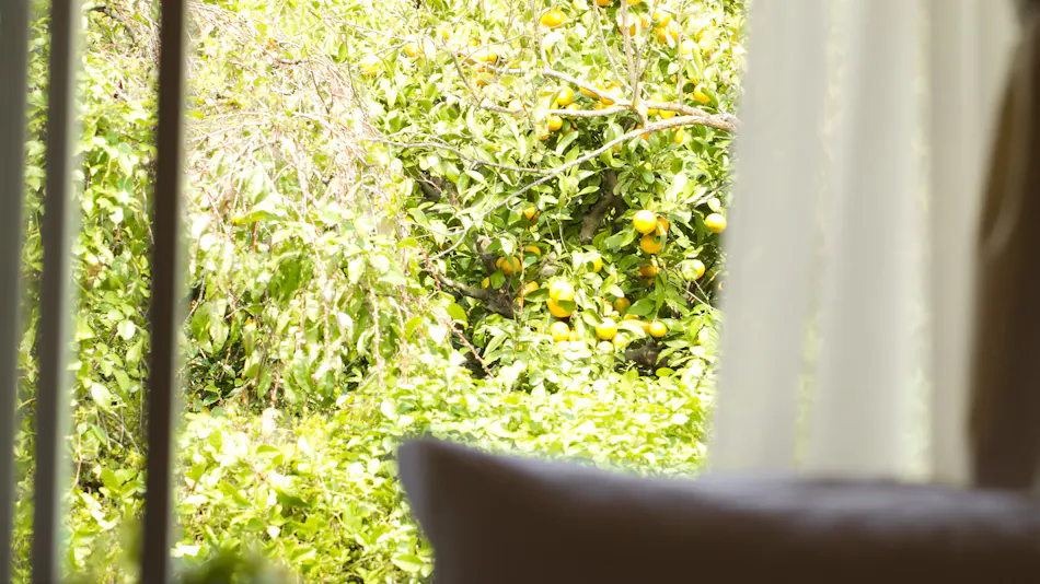 Island, Sea, View - Private Hot Spring on Mikan Hill - Bon Femme