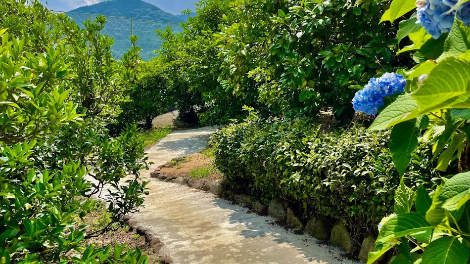 Island, Sea, View - Private Hot Spring on Mikan Hill - Bon Femme